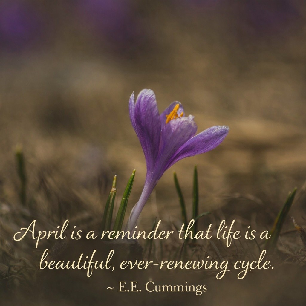 A quiet reminder that growth doesn’t rush… it unfolds. 🌿