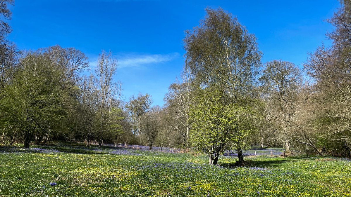 Dave Throup tweet media