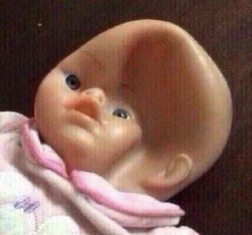 Stephanie Vaquer tweet media