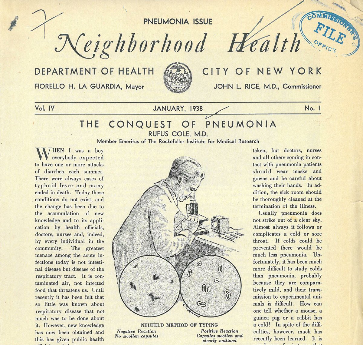 NYC Dept of Records tweet media