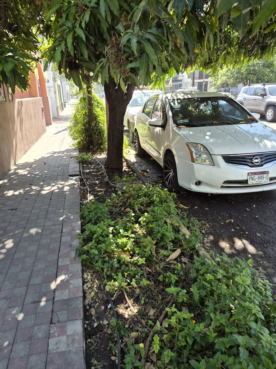 AndyLeeWay1's tweet photo. Ayer reporté que había un carro estacionado en la ciclovia de Mexicalzingo esquina con progreso, sigue donde mismo y se estacionó otra camioneta atrás @JaliscoVial @Trafico_ZMG https://t.co/GRM0e2wVYh