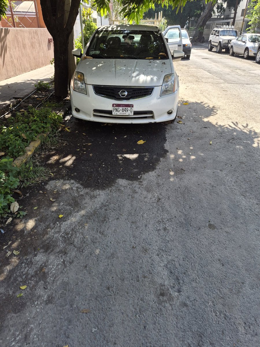 AndyLeeWay1's tweet photo. Ayer reporté que había un carro estacionado en la ciclovia de Mexicalzingo esquina con progreso, sigue donde mismo y se estacionó otra camioneta atrás @JaliscoVial @Trafico_ZMG https://t.co/GRM0e2wVYh