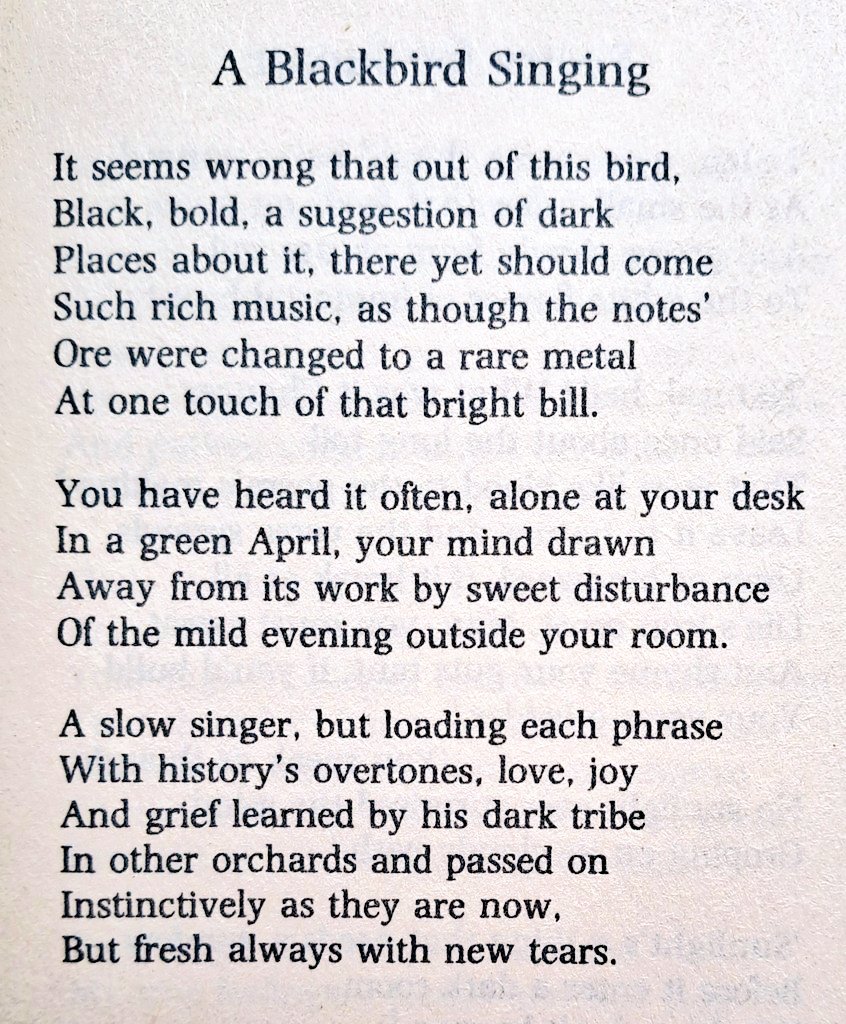 Cian McCarthy tweet media