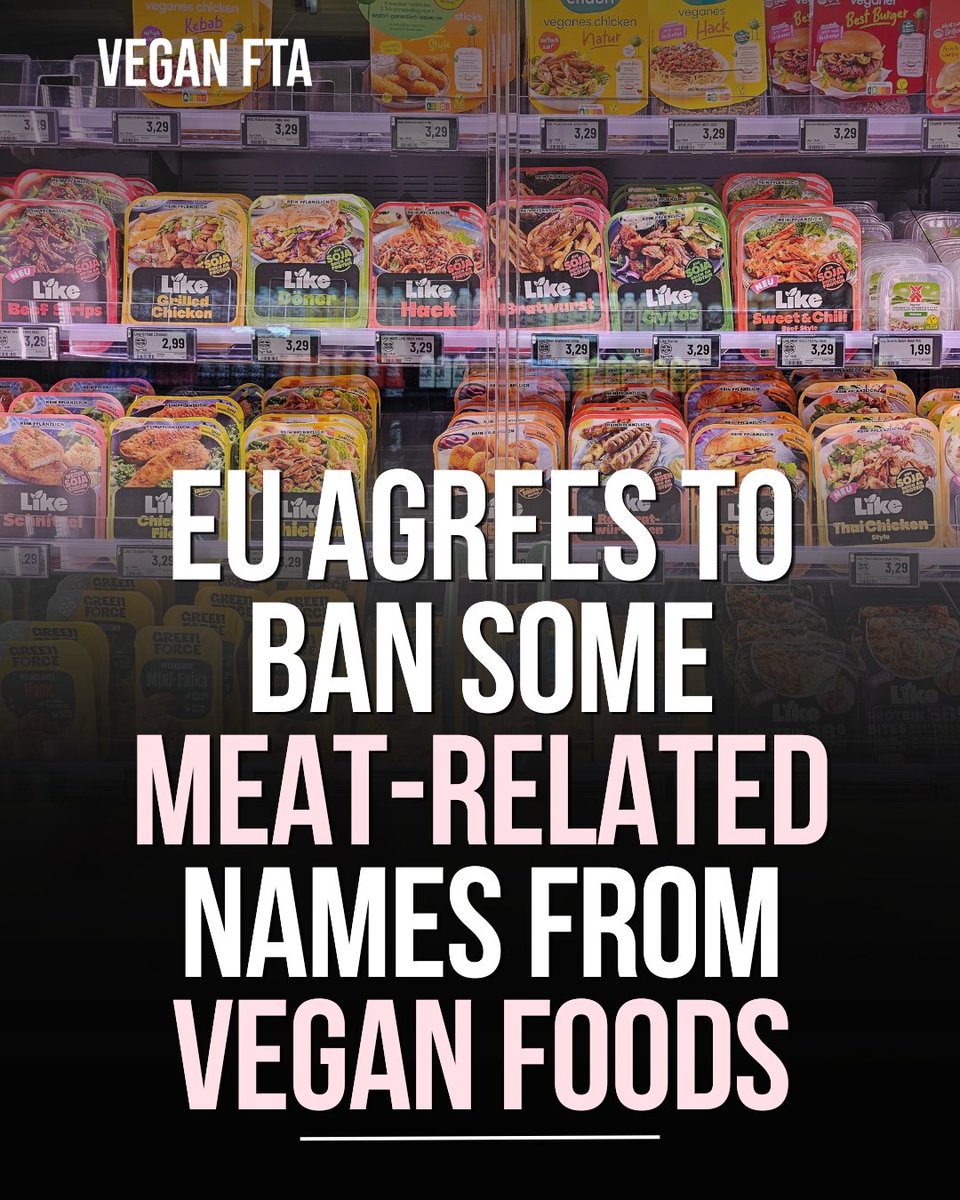 teamveganfta's tweet image. EU lawmakers agreed to stop vegetarian and vegan foods being sold under 31 meat-related names, except terms such as “veggie burgers” and “meat-free sausages”. 🚫🌱

👉 Find out more: veganfta.com/articles/2026/…

#veggie #veganfood #plantbased