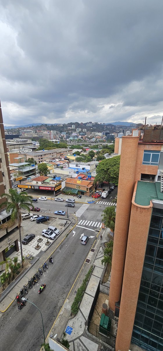 @canguro tweet media