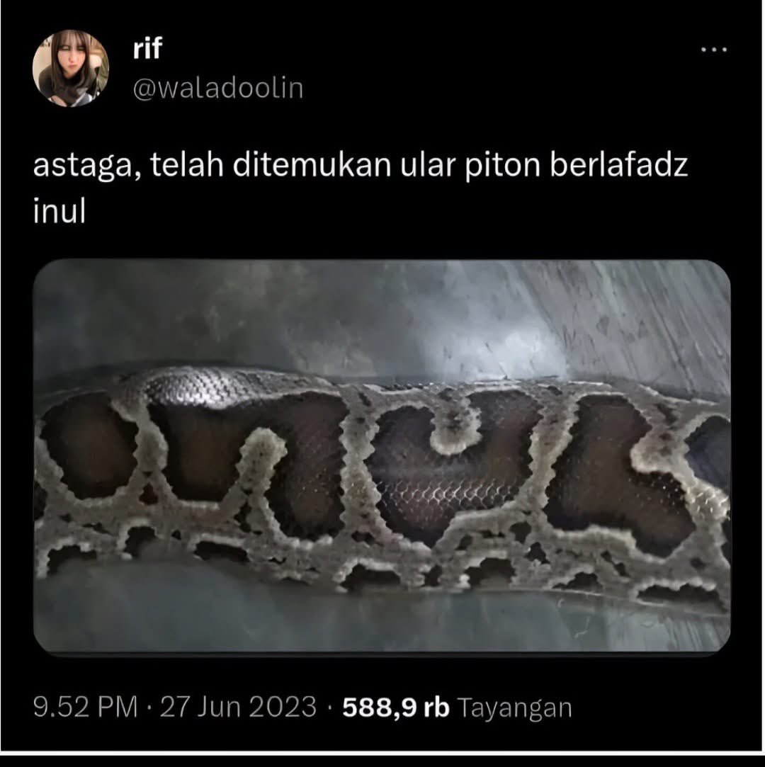 sosmed keras tweet media