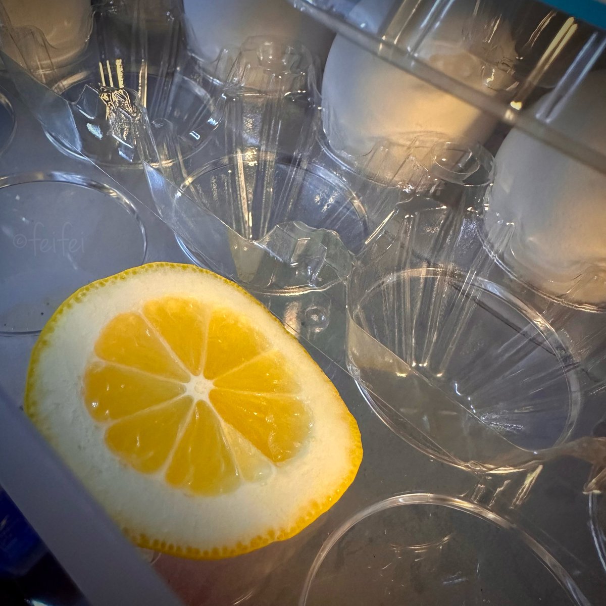 feifeihk's tweet image. 🇭🇰夫がレモンを使う料理をした後に冷蔵庫を開けると、ポケット部分に高確率でレモンの端っこ部分が置かれてる😆消臭効果があるらしい🍋✨
香港で一般的なのかしら⁉️ #hongkong #香港
