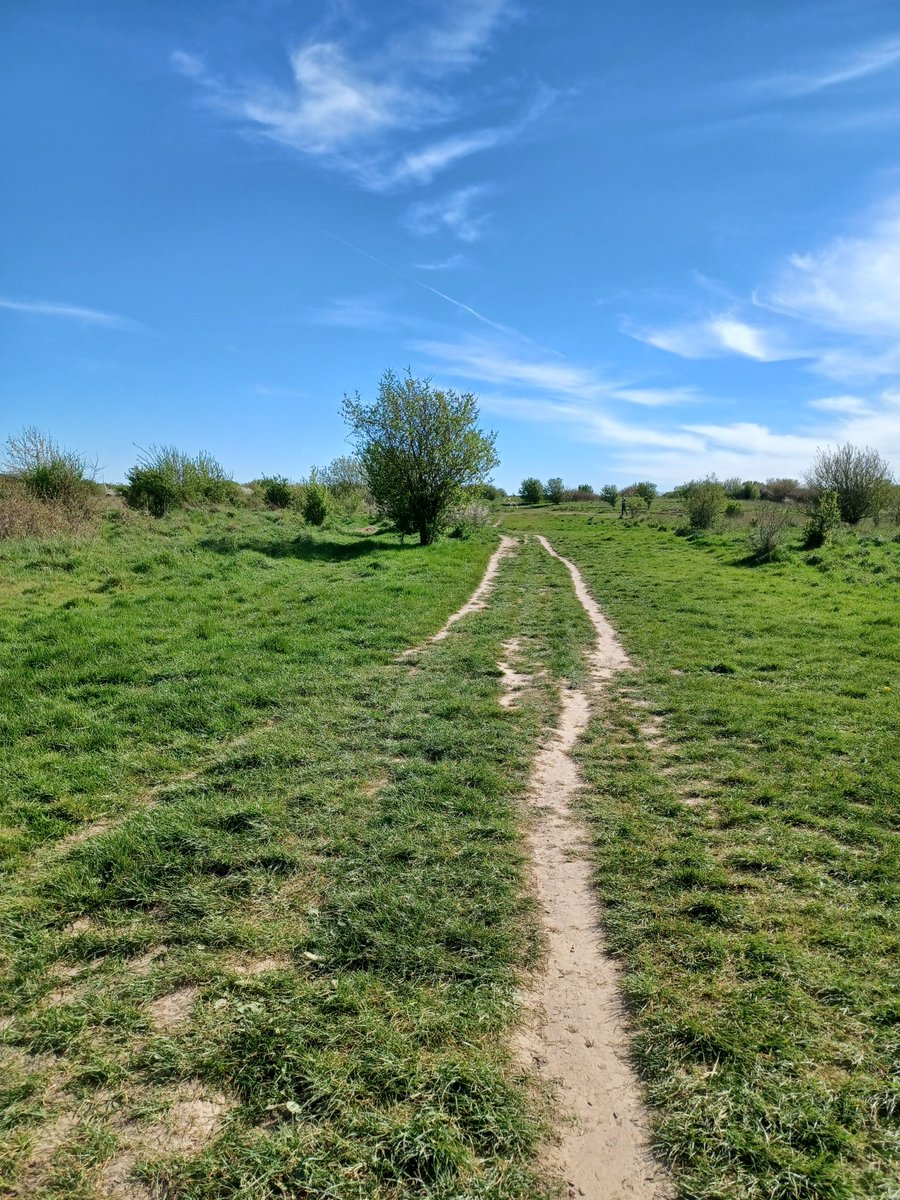 Benjamin tweet media