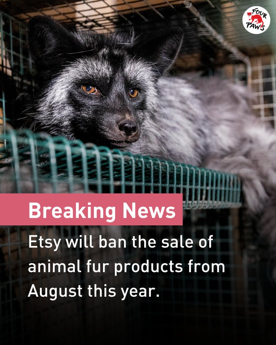 dominic dyer tweet media