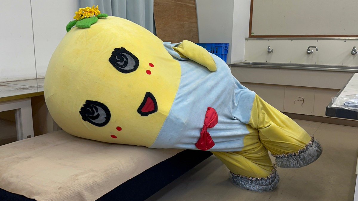 ふなっしー💙 tweet media