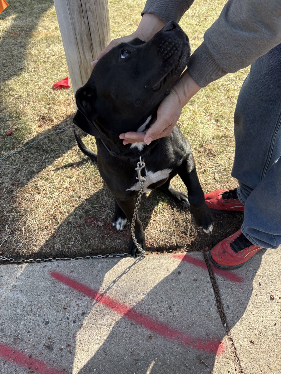 IGH-Police tweet media