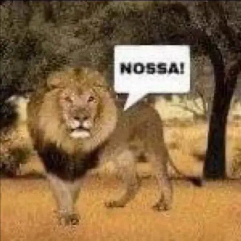 bregastar tweet media