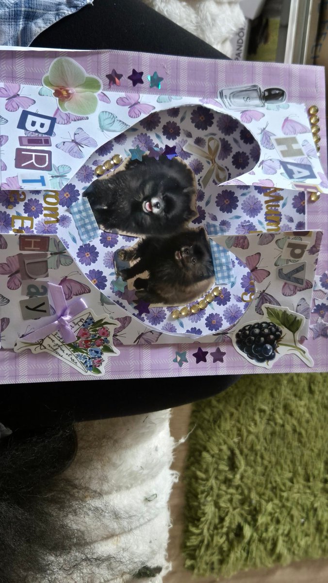 It's that day again!! Lovely handmade card from layla and the dogs and beautiful Pandora charms. And the sun is shining, it's lovely and warm. What more could a girl want?...apart from an Arsenal  win tonight