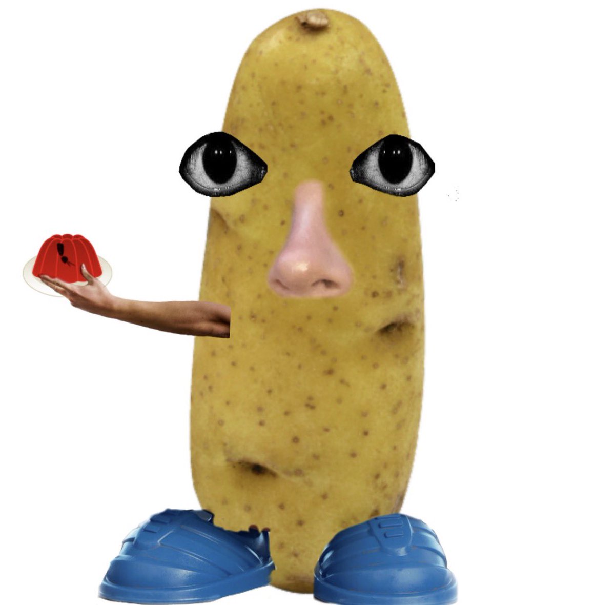 Des | SHEDTWT ⚢ tweet media