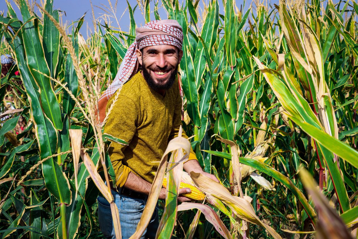 UNDP's tweet image. Türkiye and UNDP - a long-standing partnership that keeps delivering 🤝.

This continued investment  helps drive faster progress on climate and humanitarian response, and recovery for crisis-affected communities, together 🌍.

🔗 go.undp.org/SEv

#PartnersAtCore