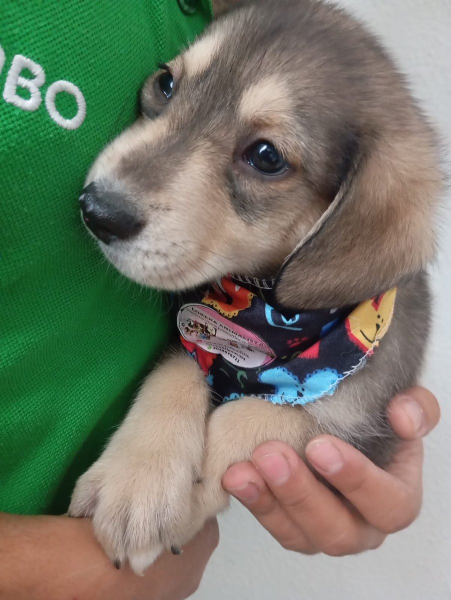 Laura Rubio tweet media