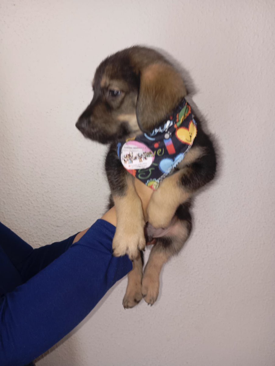 Laura Rubio tweet media