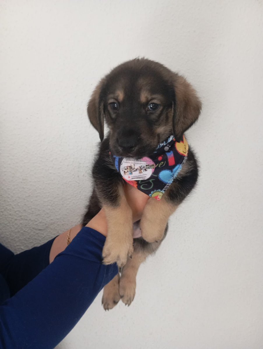 Laura Rubio tweet media