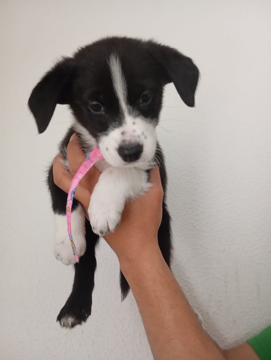 Laura Rubio tweet media