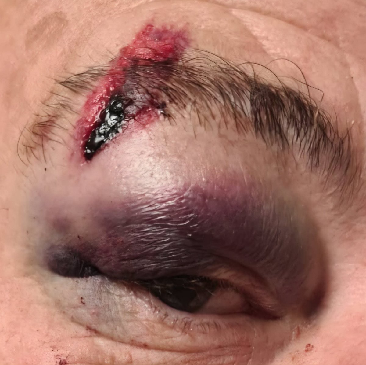 Donna Rachel 🕊️ tweet media