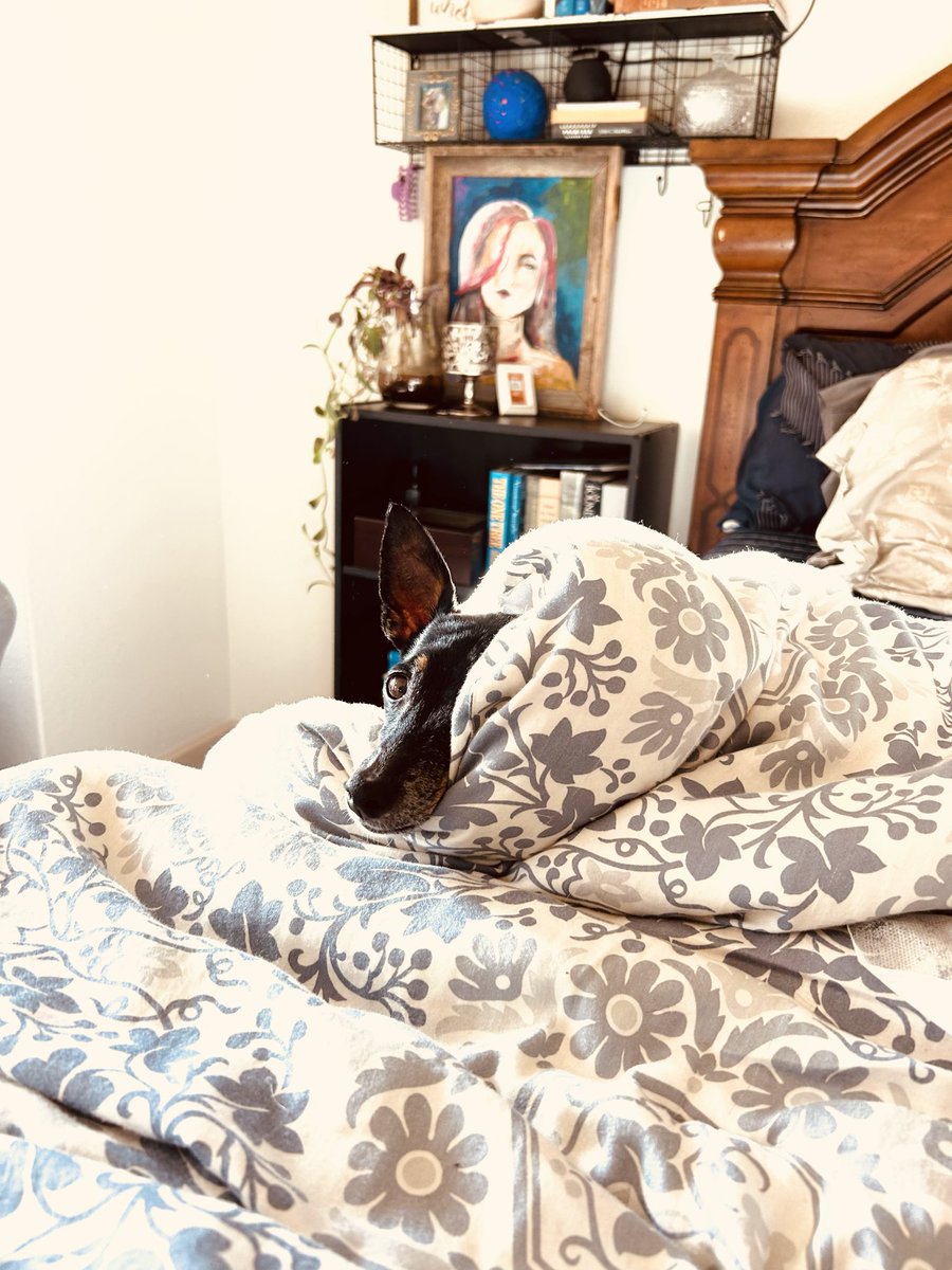 secretcoran's tweet image. Taye Diggs is in his feelings about being left behind. 😢 #dogmom