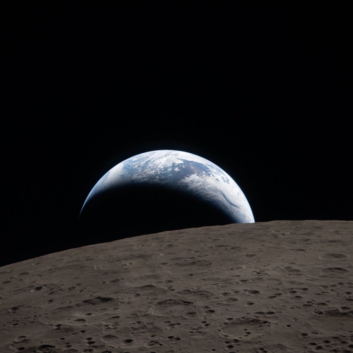 Culture Crave 🍿 tweet media