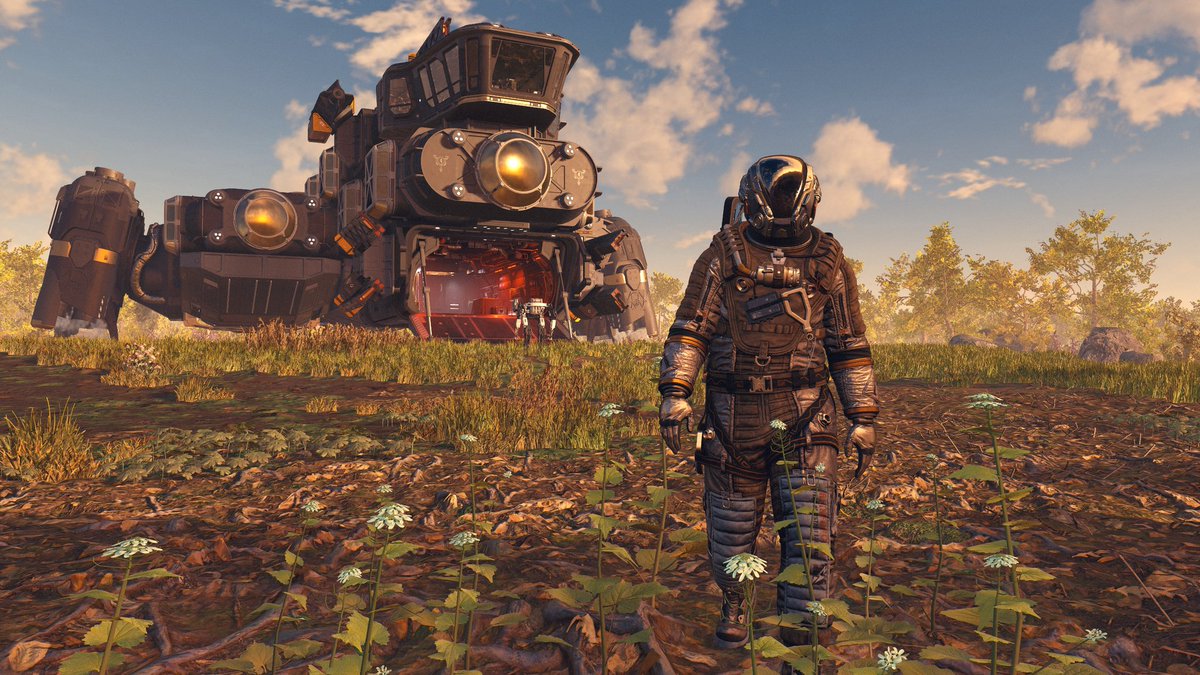 Wesley ✨ tweet media