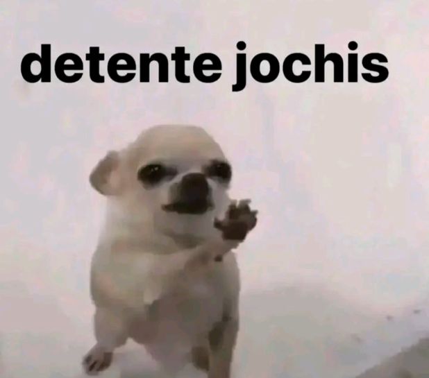 Khaøz🪾🌱 tweet media