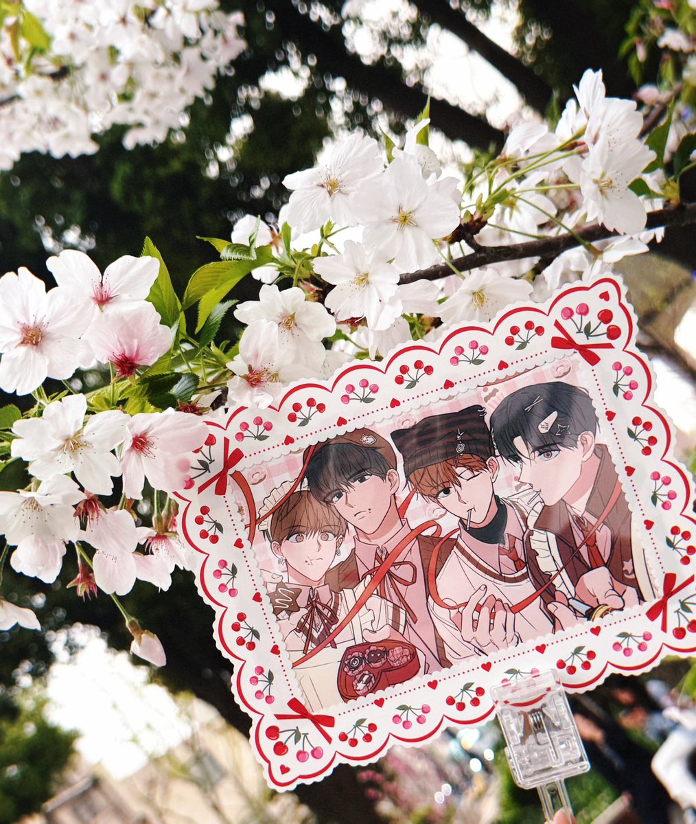 Cici_씨씨 tweet media