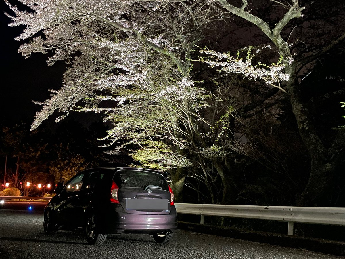 ﾀｶｼﾏ tweet media