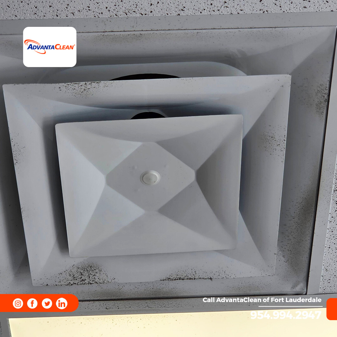 AdvantaClean Of Fort Lauderdale tweet media