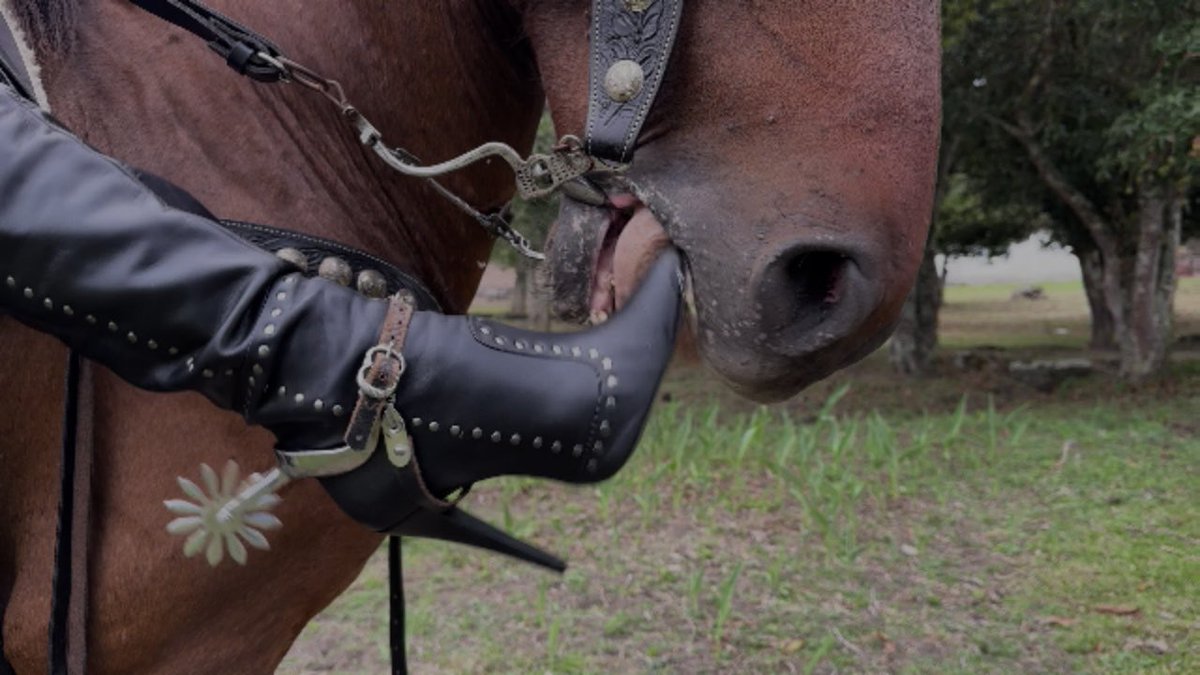 Boots Queen tweet media