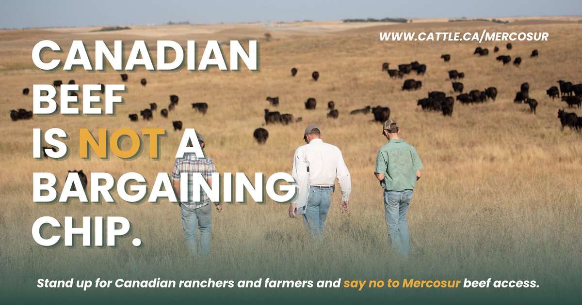 CanCattle tweet picture