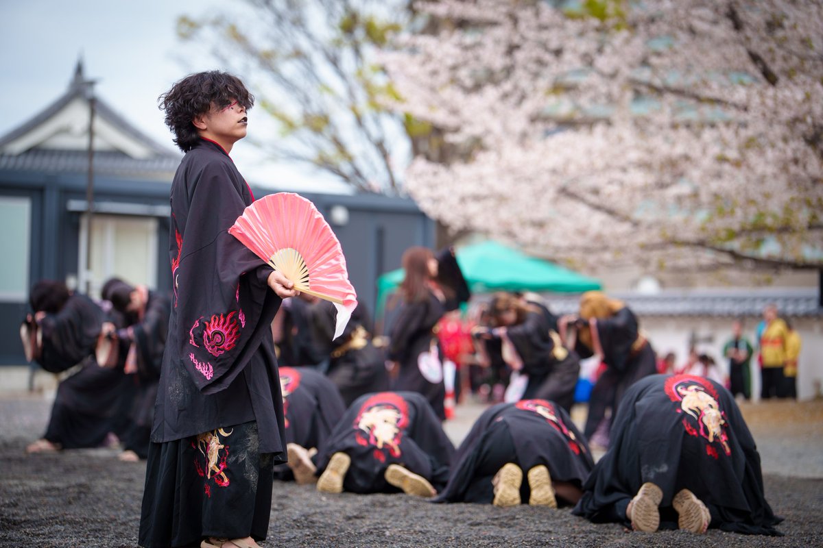 miken4351's tweet image. 2026/04/05 花時計前会場
生きること死ぬこと × 桜
その儚さも何となくしっくり
#T4O #Re:collect #どまつり夜桜in岡崎