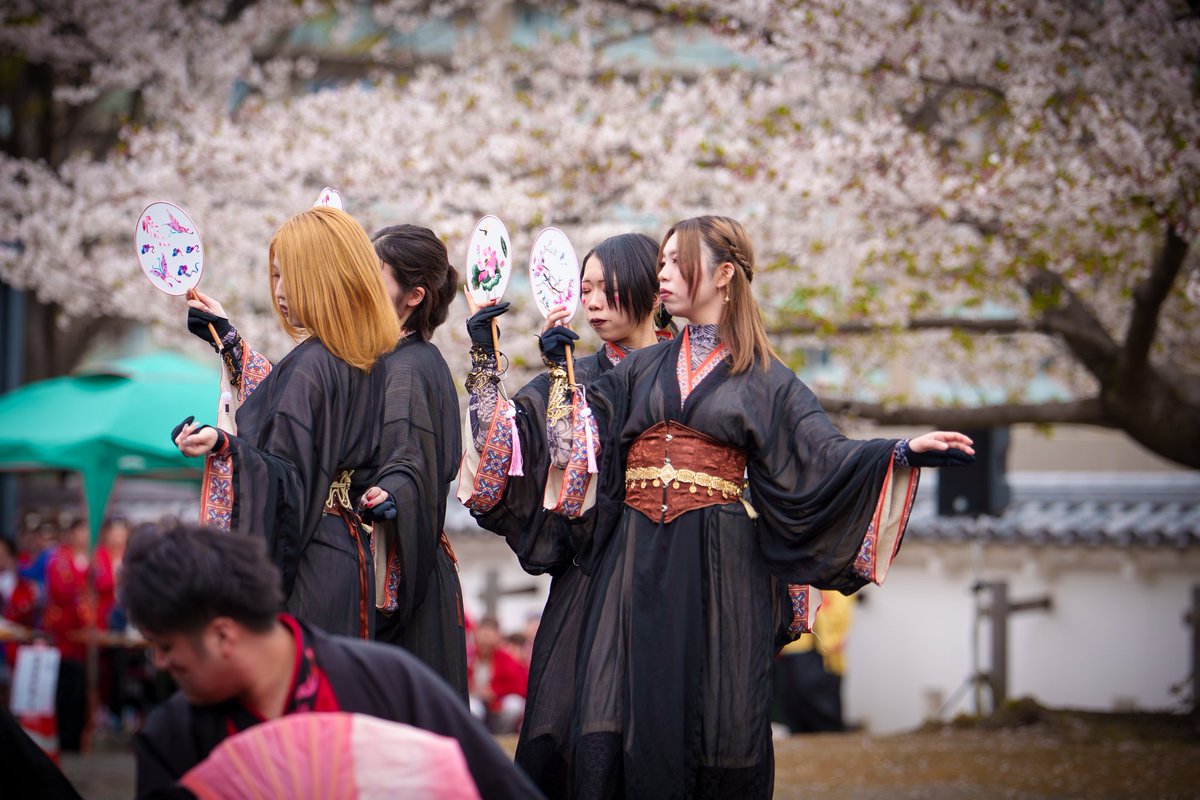 miken4351's tweet image. 2026/04/05 花時計前会場
生きること死ぬこと × 桜
その儚さも何となくしっくり
#T4O #Re:collect #どまつり夜桜in岡崎