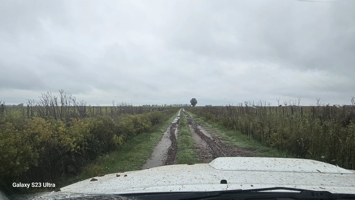 Alberto E. del Solar Dorrego tweet media