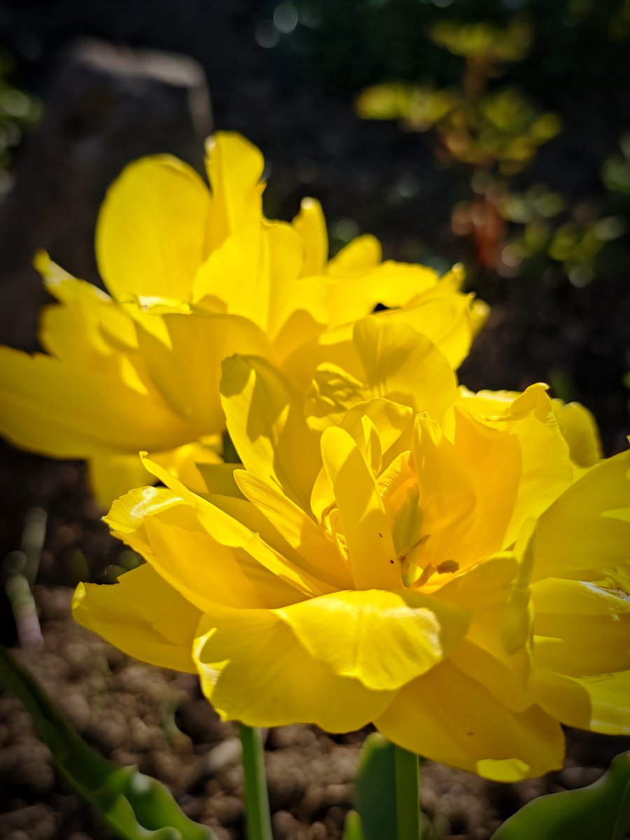 MsBlazic's tweet image. #Texture Tuesday