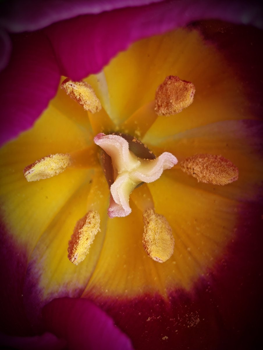 MsBlazic's tweet image. #Texture Tuesday