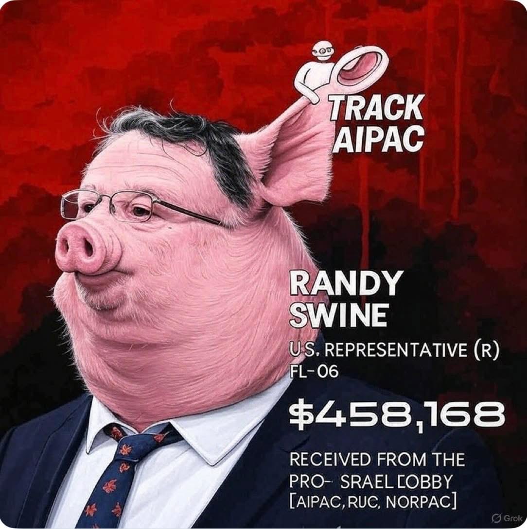 Max Ilham tweet media