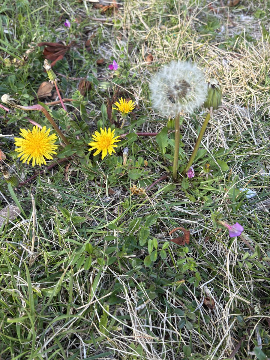 みっくすじゅーす tweet media