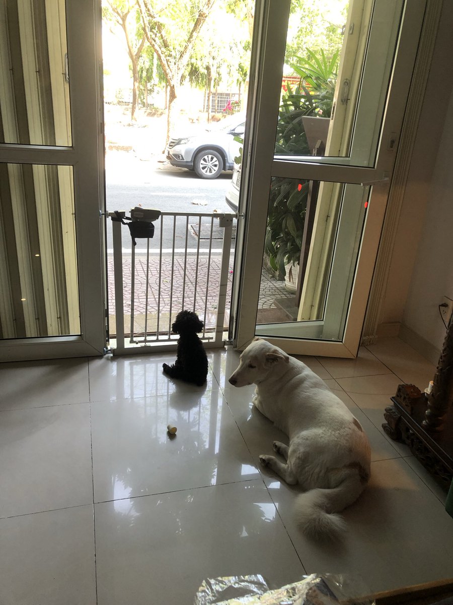 nguyencaothuyan's tweet photo. Beautiful morning. https://t.co/GikfmOY6ZD