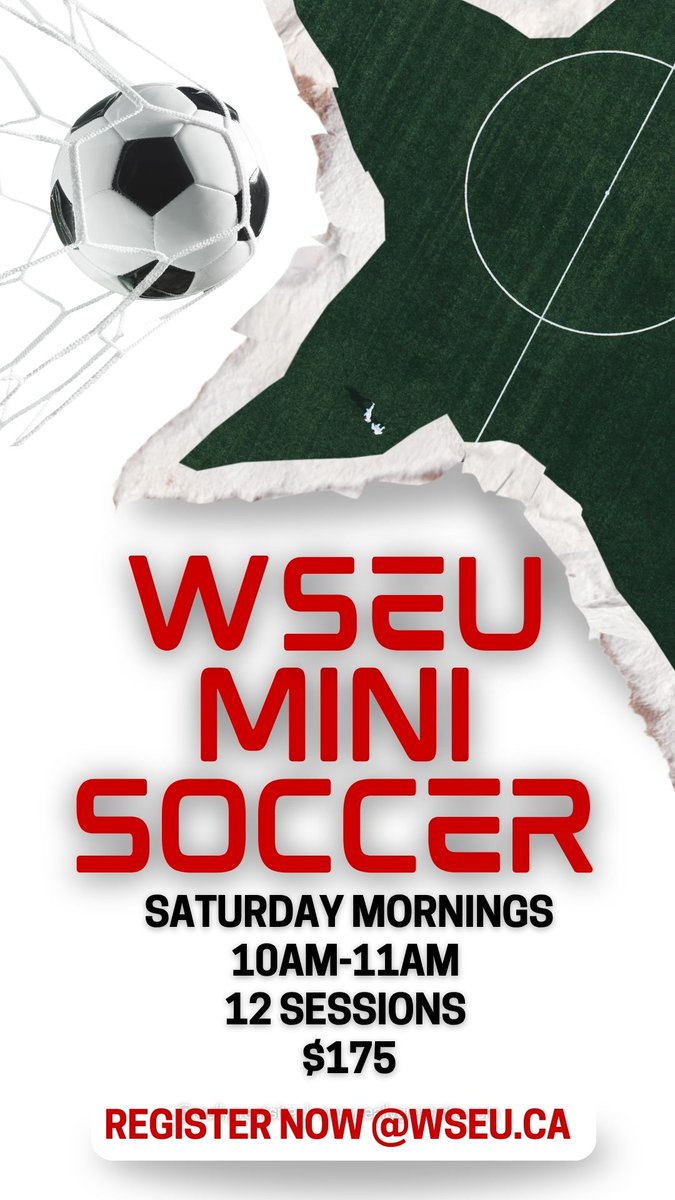 WSEUSoccer tweet media