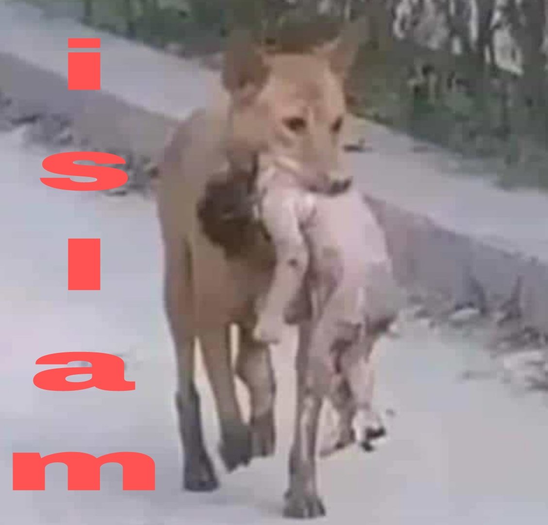 (D)emocrats Are Assassins tweet media