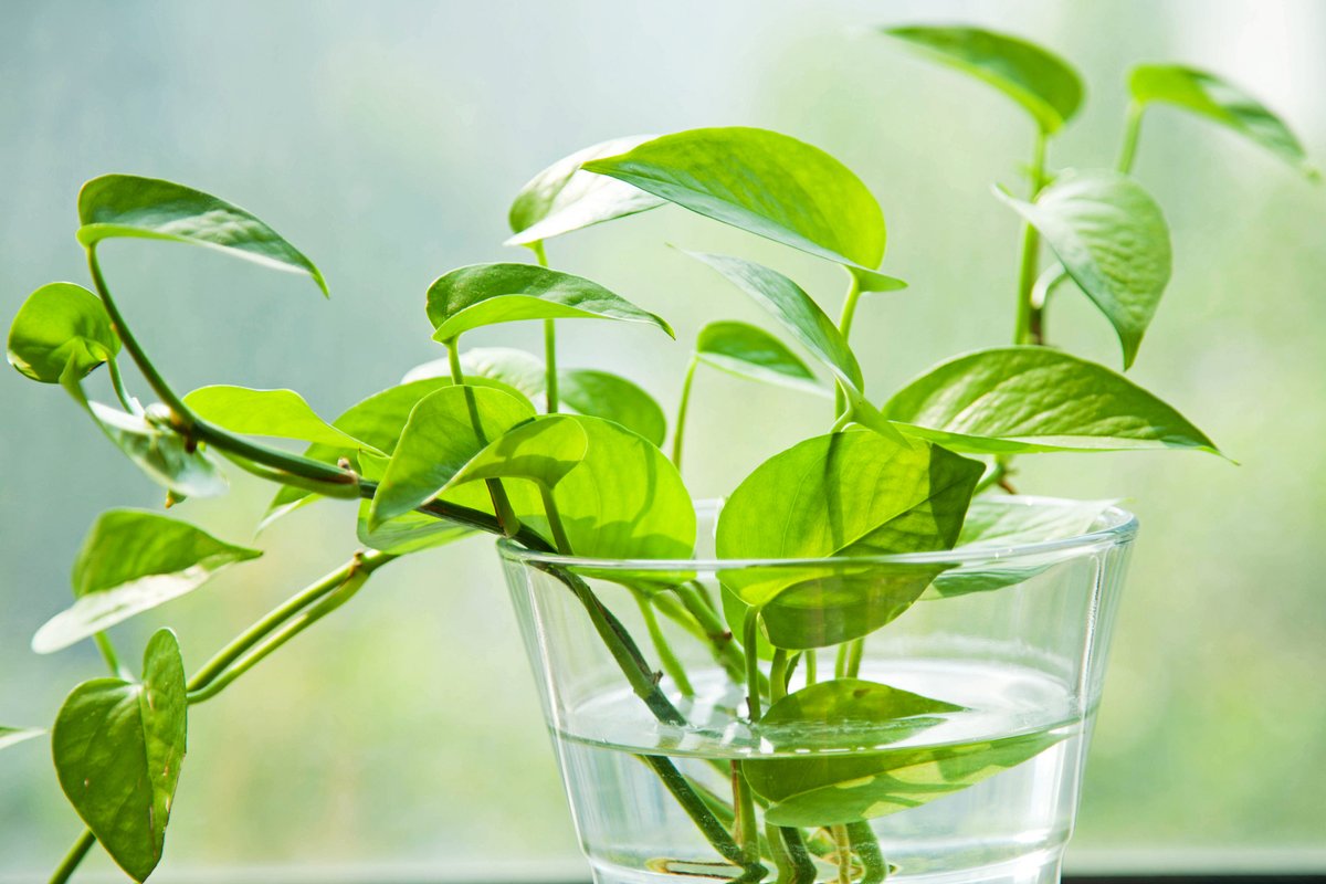 Nitin Katiyar tweet media