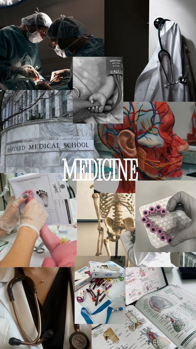 meongpins's tweet image. my bias vs my degree
