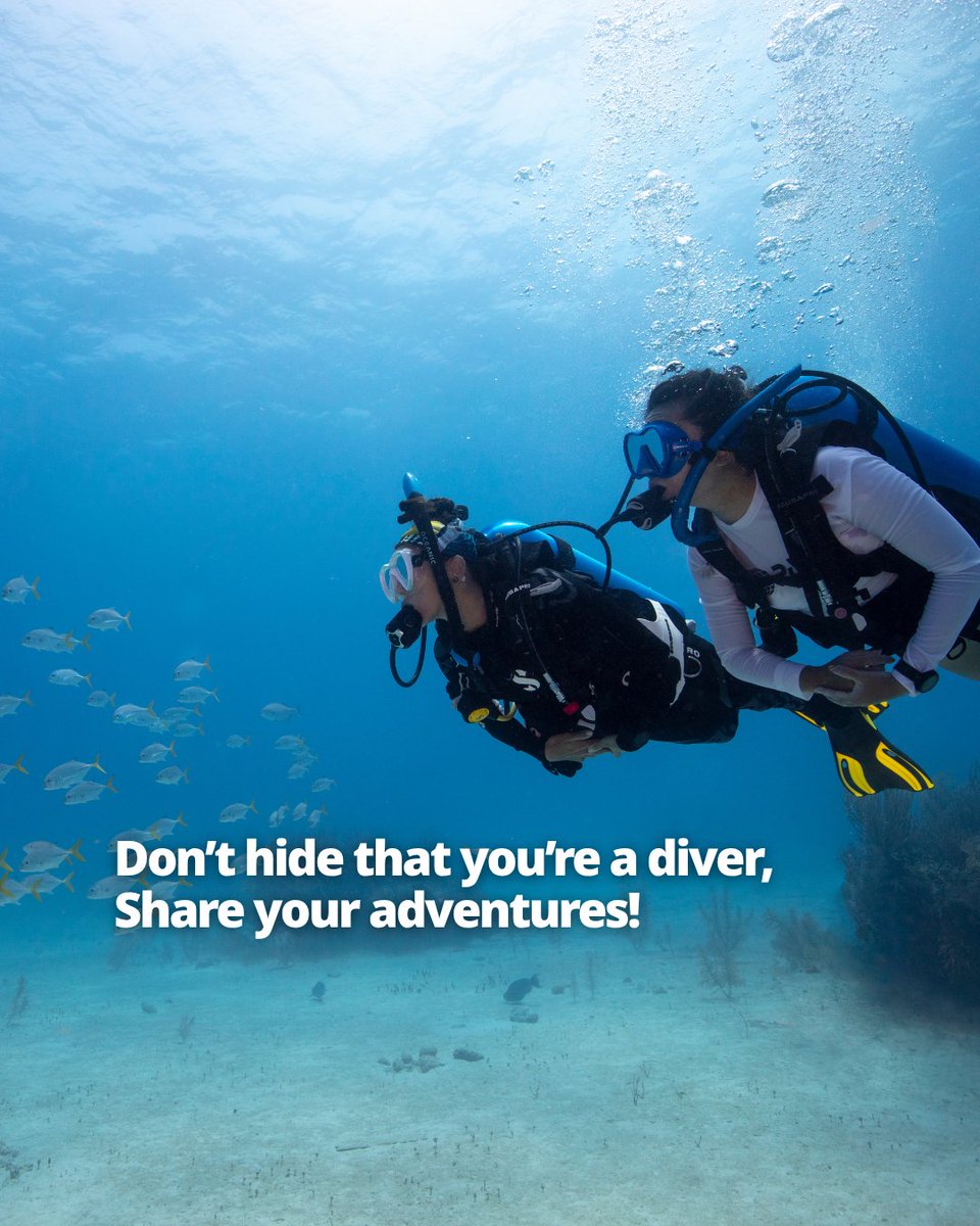 PADI's tweet image. Be that somebody. 🙌🏼
By sharing diving, you give and get wonderful, surprising gifts.  Seek adventure. Save the ocean.

- Dr. Drew Richardson, PADI President &amp;amp; CEO

Read more 🔗 blog.padi.com/be-that-somebo…

#PADI #ScubaDiving #Underwater #Diving
