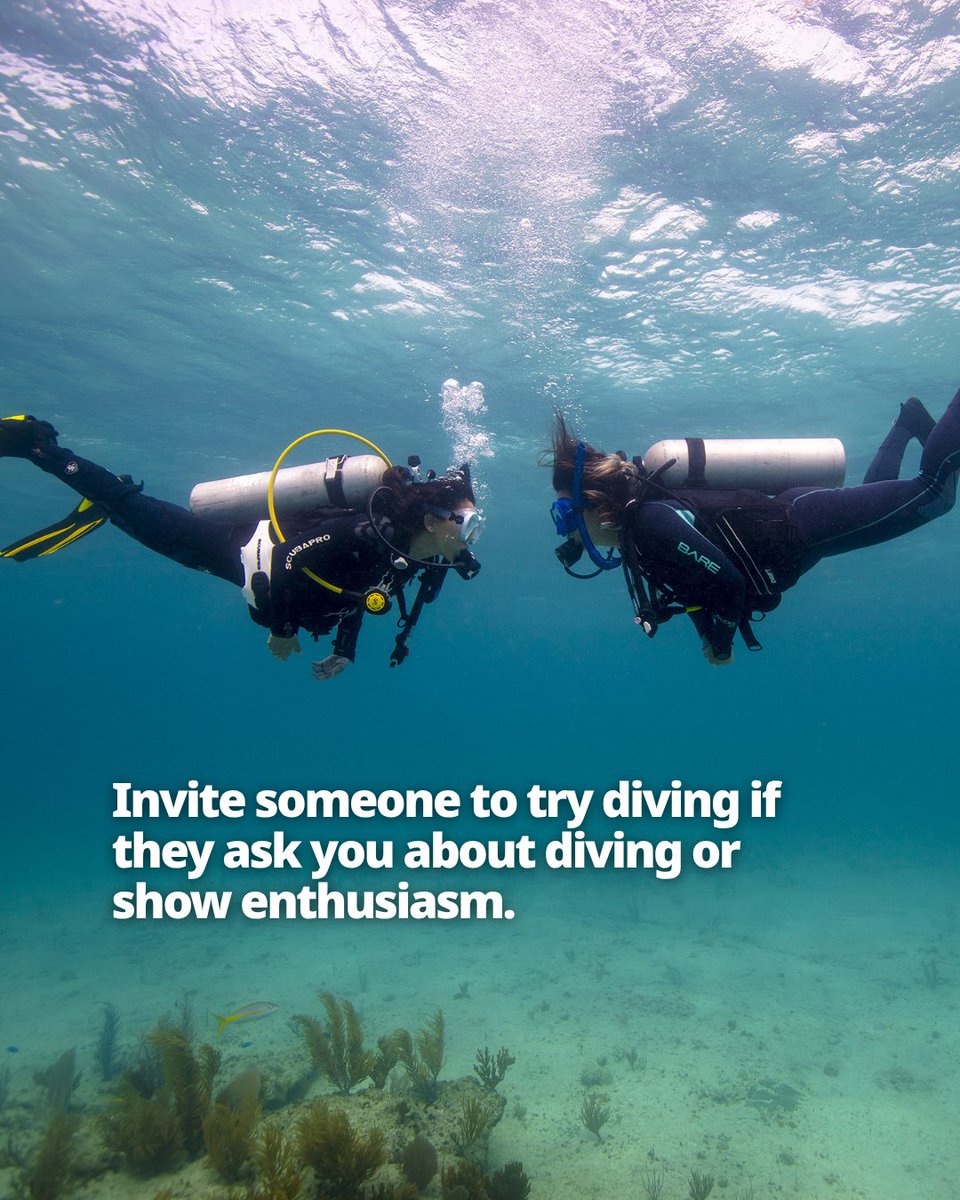 PADI's tweet image. Be that somebody. 🙌🏼
By sharing diving, you give and get wonderful, surprising gifts.  Seek adventure. Save the ocean.

- Dr. Drew Richardson, PADI President &amp;amp; CEO

Read more 🔗 blog.padi.com/be-that-somebo…

#PADI #ScubaDiving #Underwater #Diving
