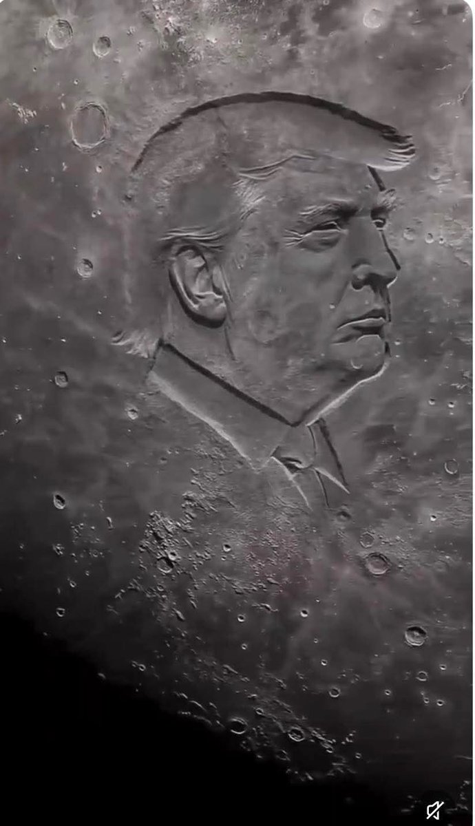 Bofadeeze Bólz tweet media