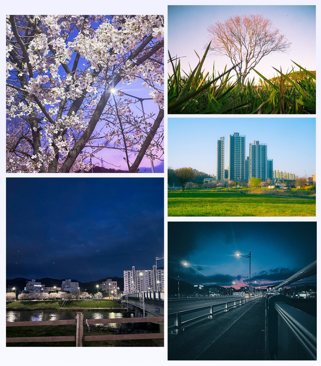 세이 어디야? tweet media