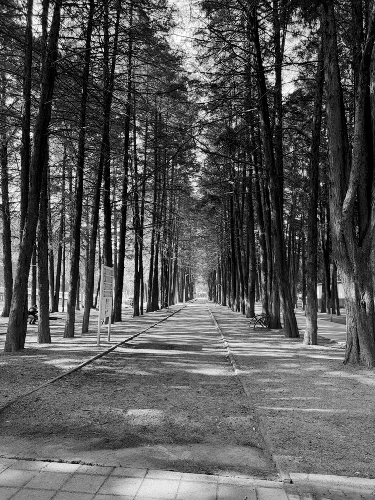 *Fernando* tweet media